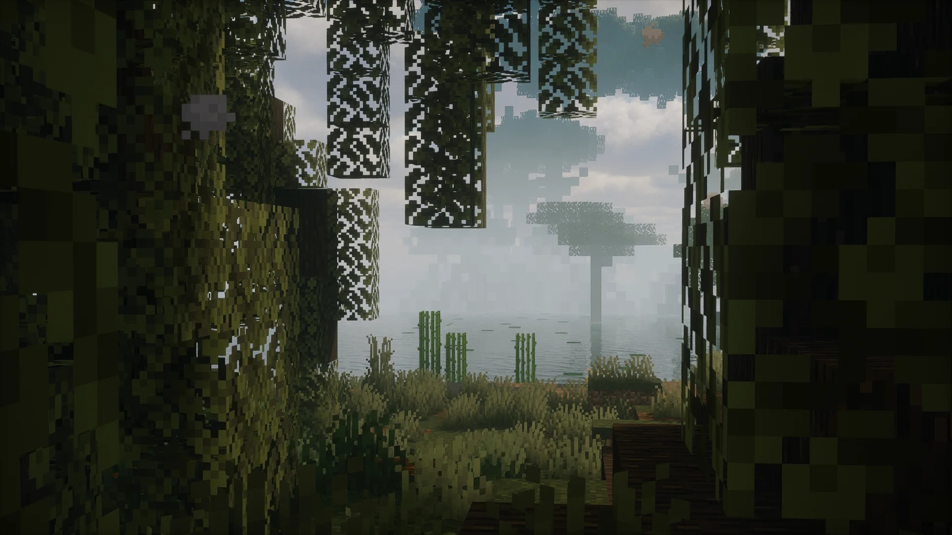 Gallery image 6