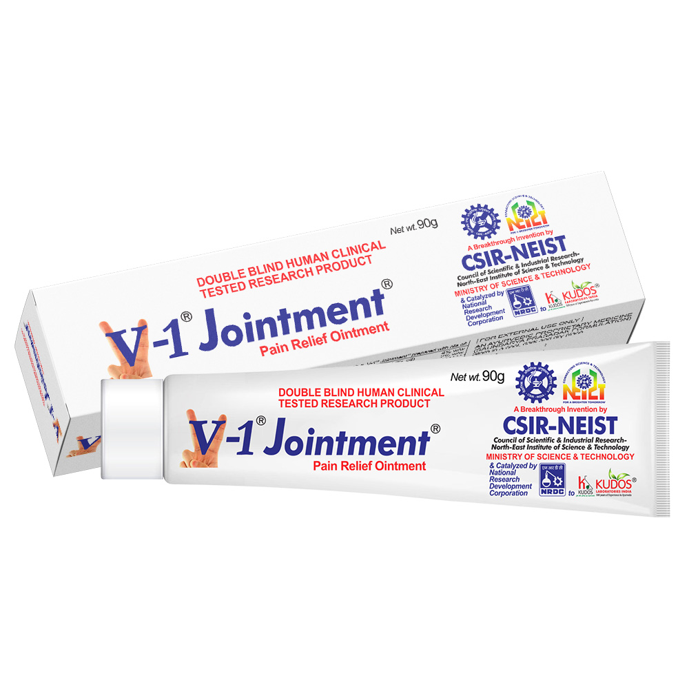 V-1 Jointment Pain Relief Ointment β 90g
