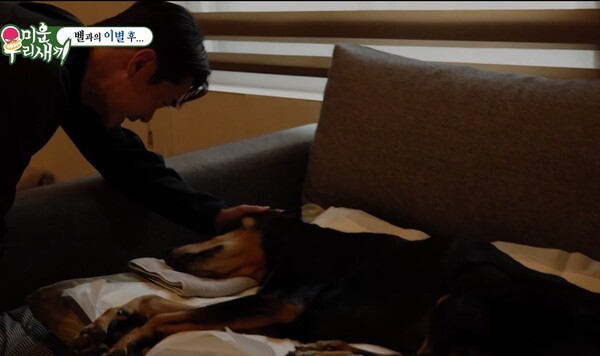 지난 9일 방송된 SBS 예능 '미운 우리 새끼'(미우새)에서 반려견 '벨'을 떠나보낸 배정남의 모습  ©SBS 예능 '미운 우리 새끼'