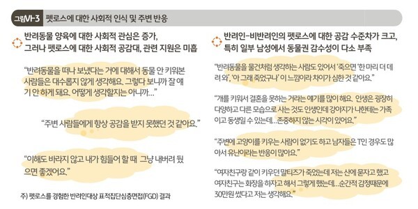 2025 한국 반려동물 보고서 中  ©KB 금융