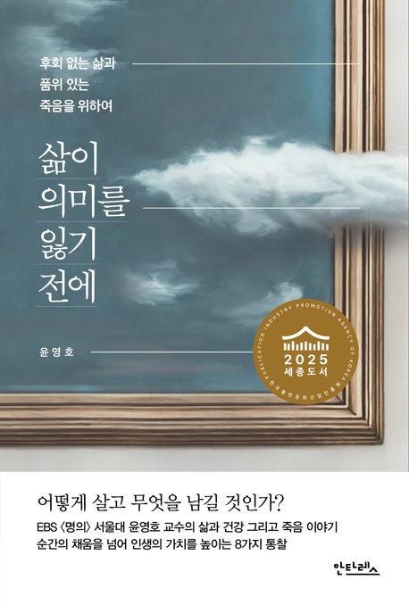 [도서] 삶이 의미를 잃기 전에 - 후회 없는 삶과 품위 있는 죽음을 위하여