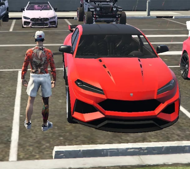 Toros