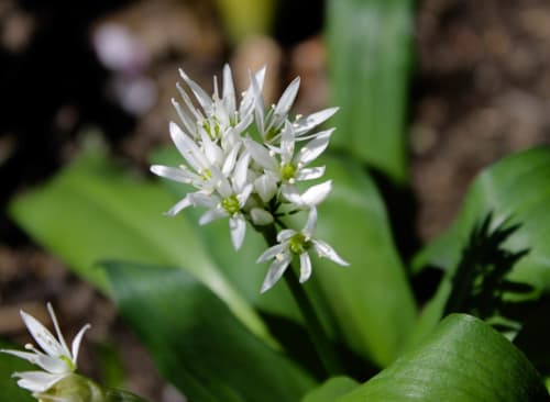 These are the first photos I've ever taken on a digital camera. I used my Nan's Canon EOS 1100D :)