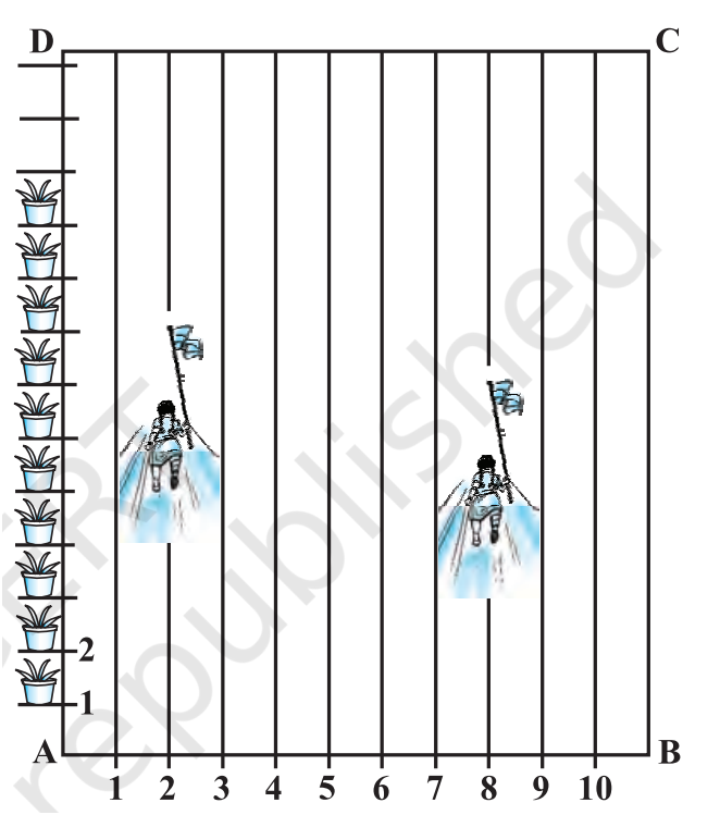 Sports Day Grid Diagram