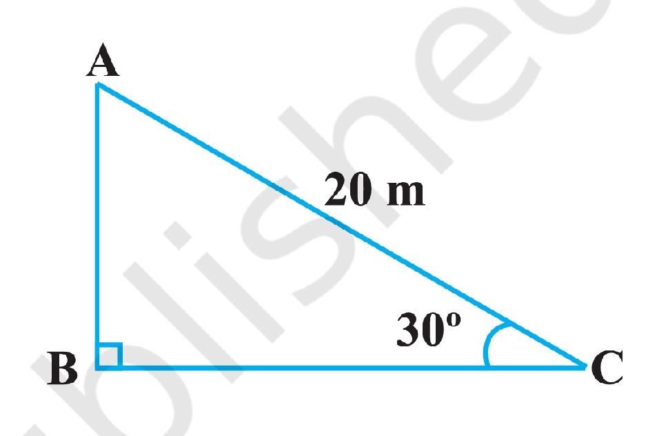 Question 24 Figure