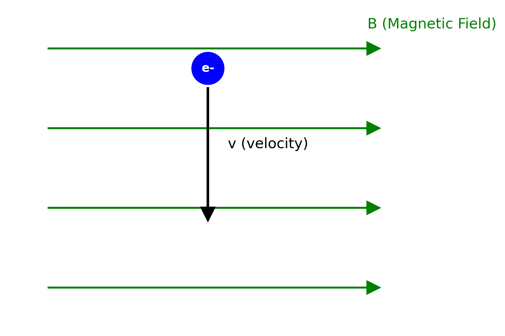 Magnetic Field Diagram