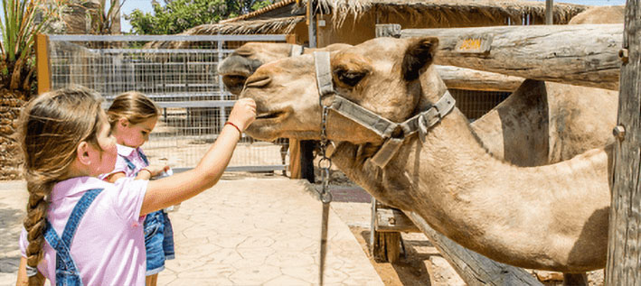 Kids activities in Cyprus