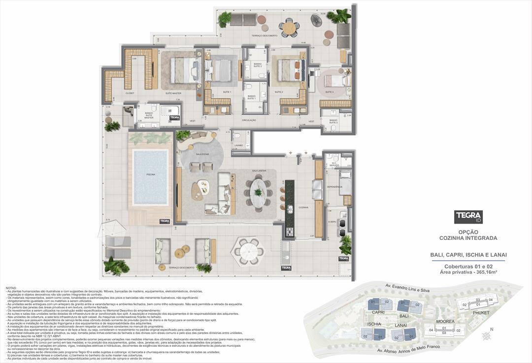 Planta 8