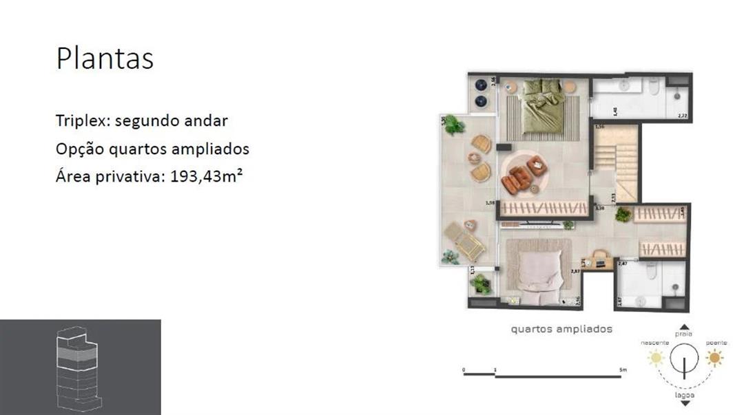 Planta 8