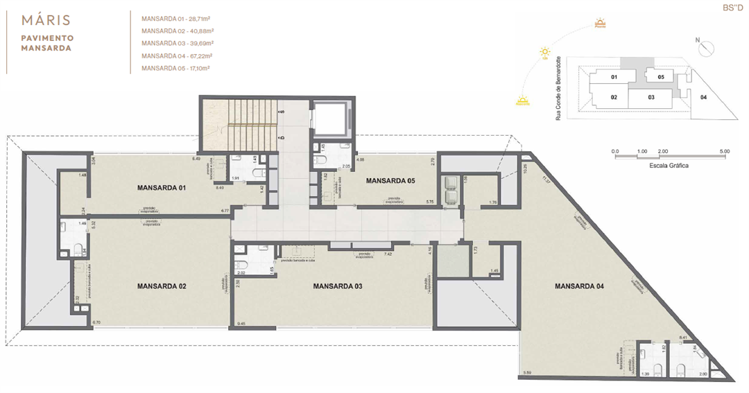 Planta 8