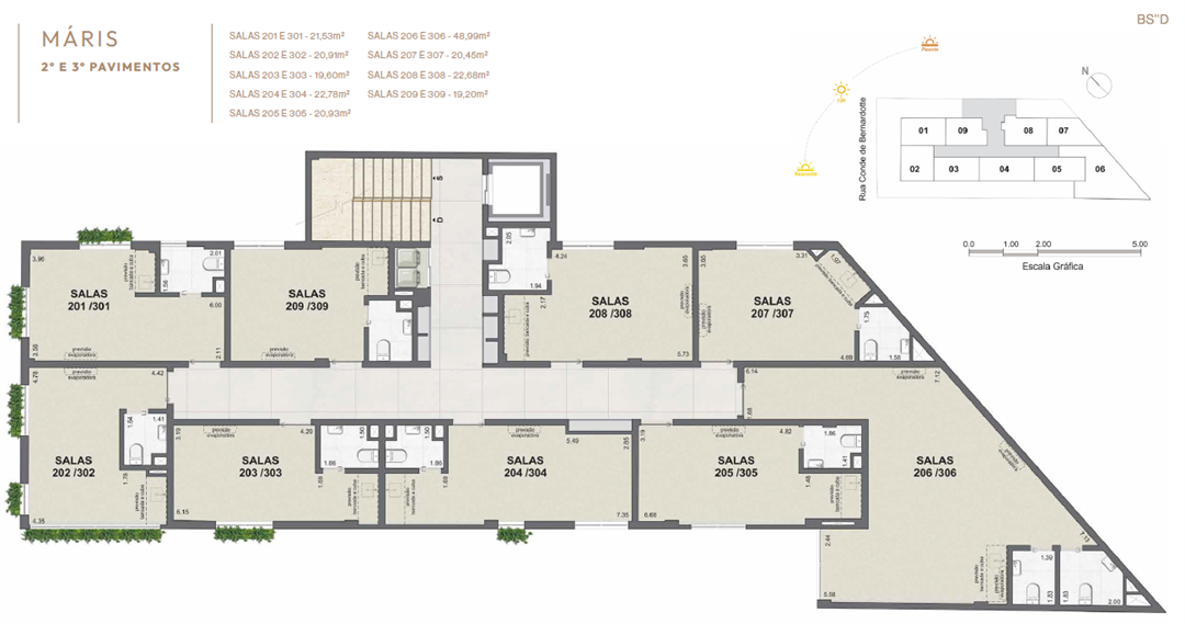 Planta 5