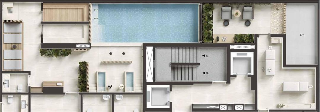 Planta 7