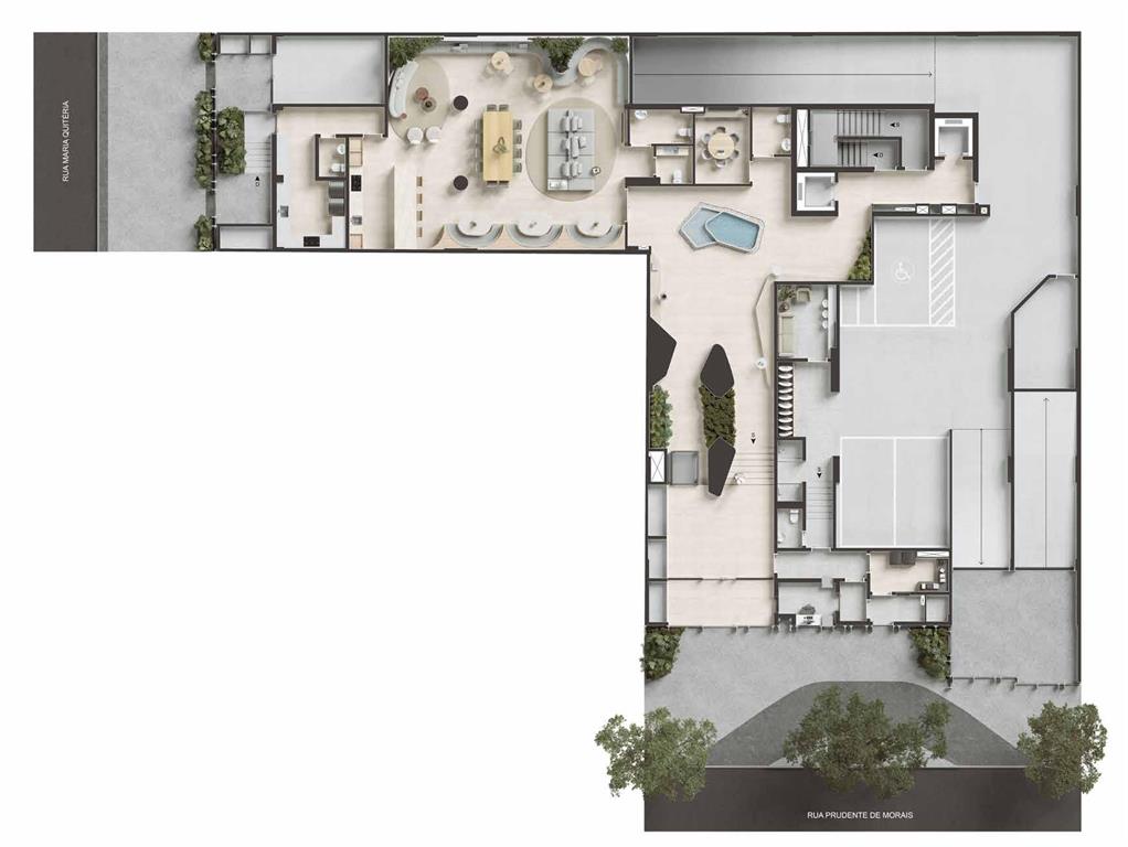 Planta 6