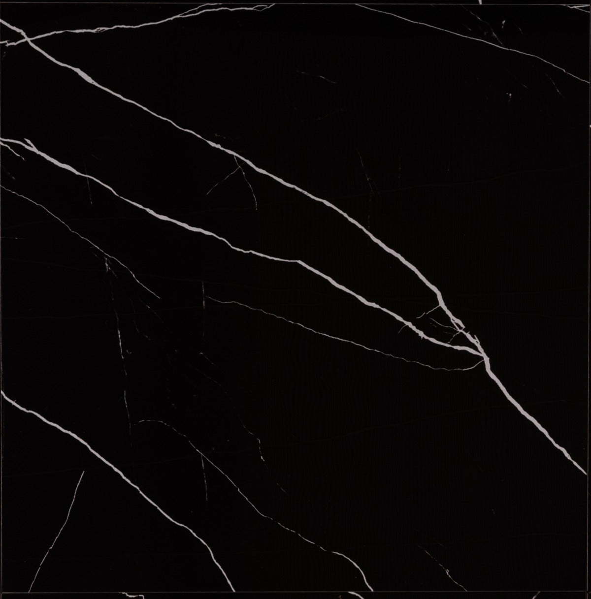 Rud Marquina Poli