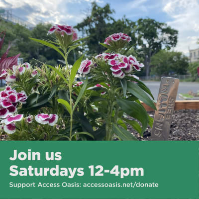 Access Oasis Open Community Hours