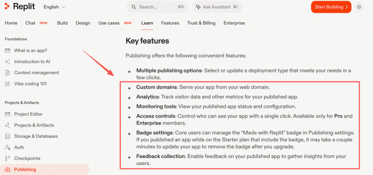 Discover publishing features like custom domains and analytics offered by a professional ai saas builder platform.