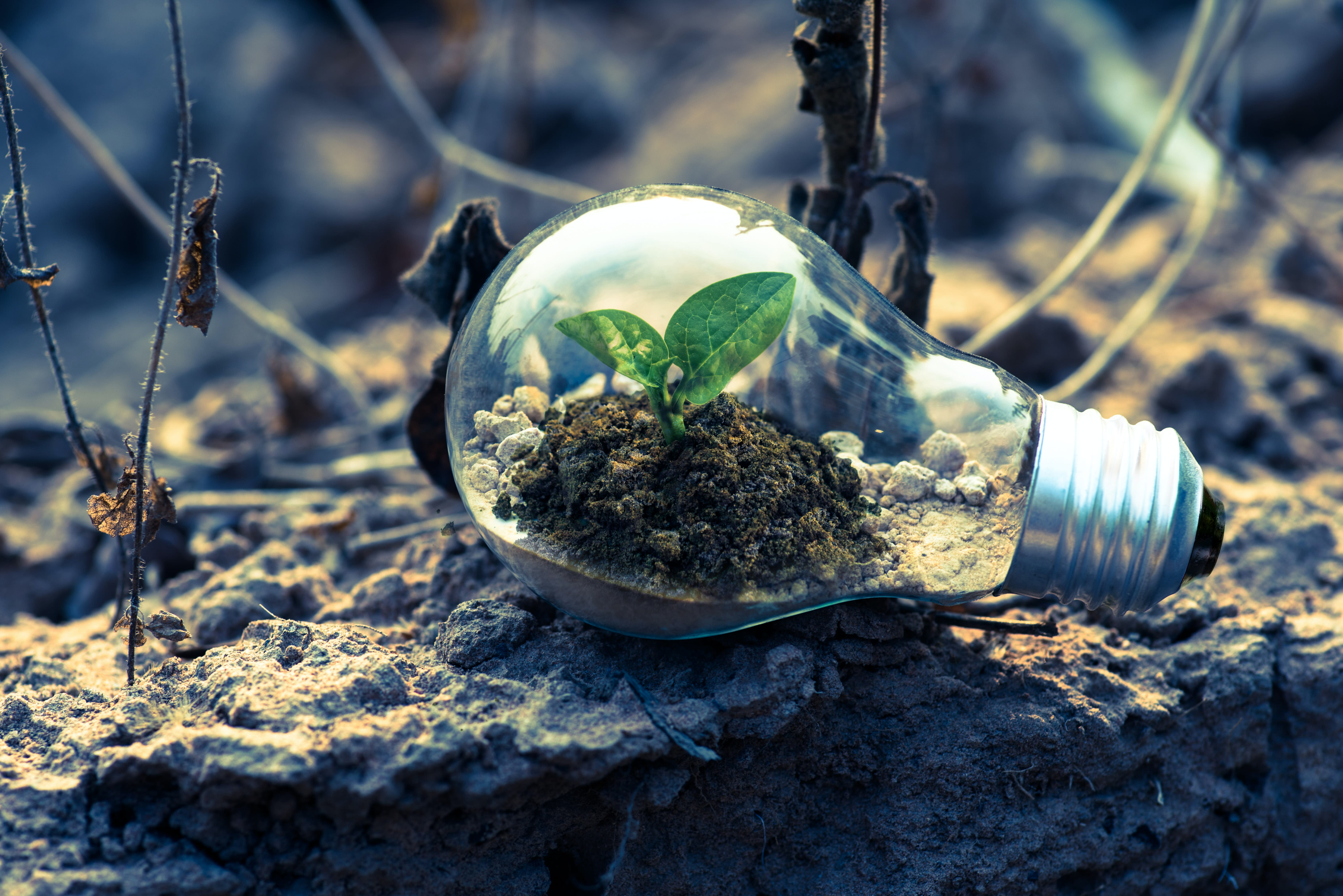 image de la formation : Suivi de la Mise en Oeuvre des Plans de Gestion Environnementale et Sociale des Projets Électriques