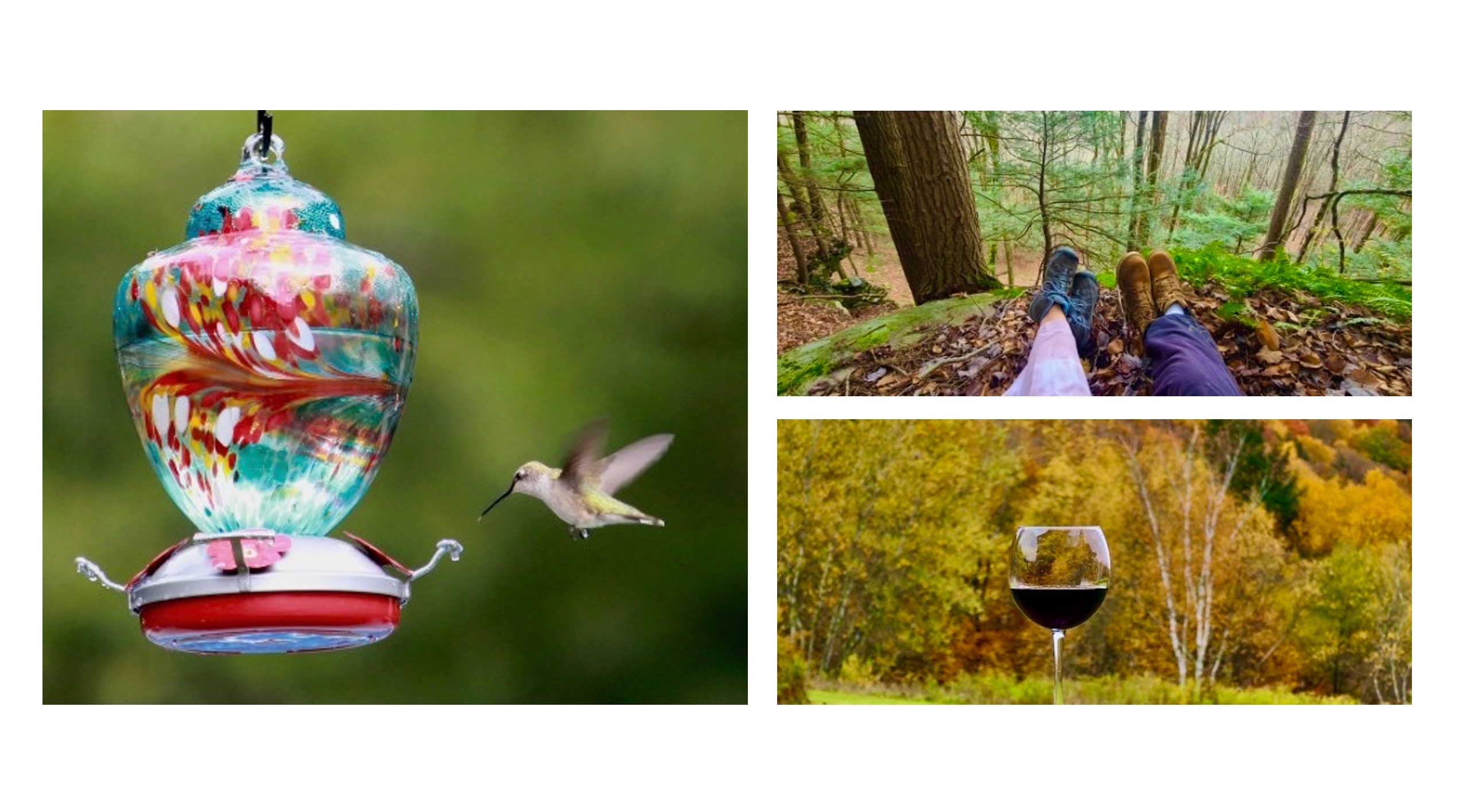 Hummingbird feeder, hiking in Catskills forest, and wine with fall foliage views at Mountain Meadows private resort