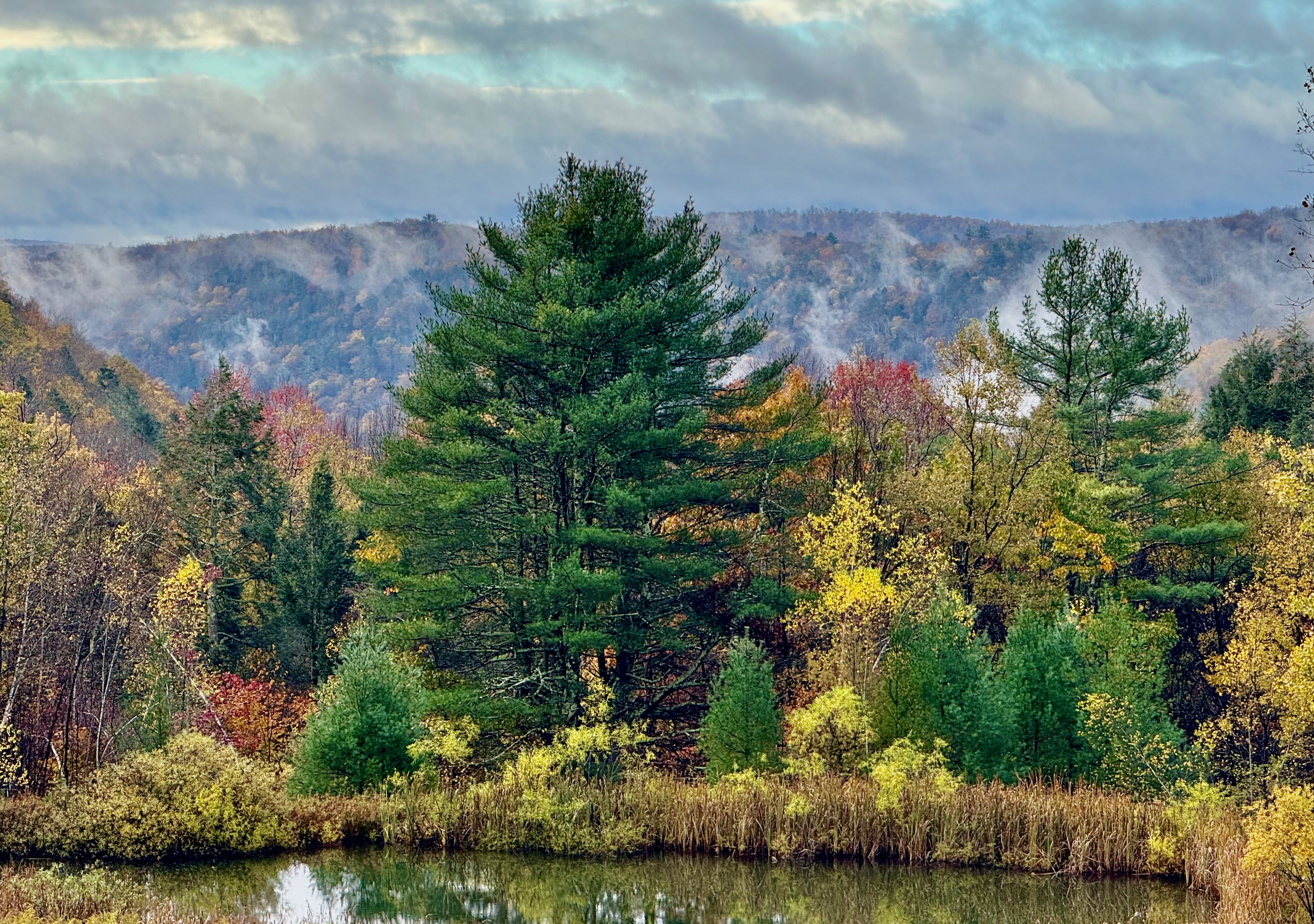 Misty fall foliage mountains with pond at Mountain Meadows private Catskills retreat Long Eddy NY