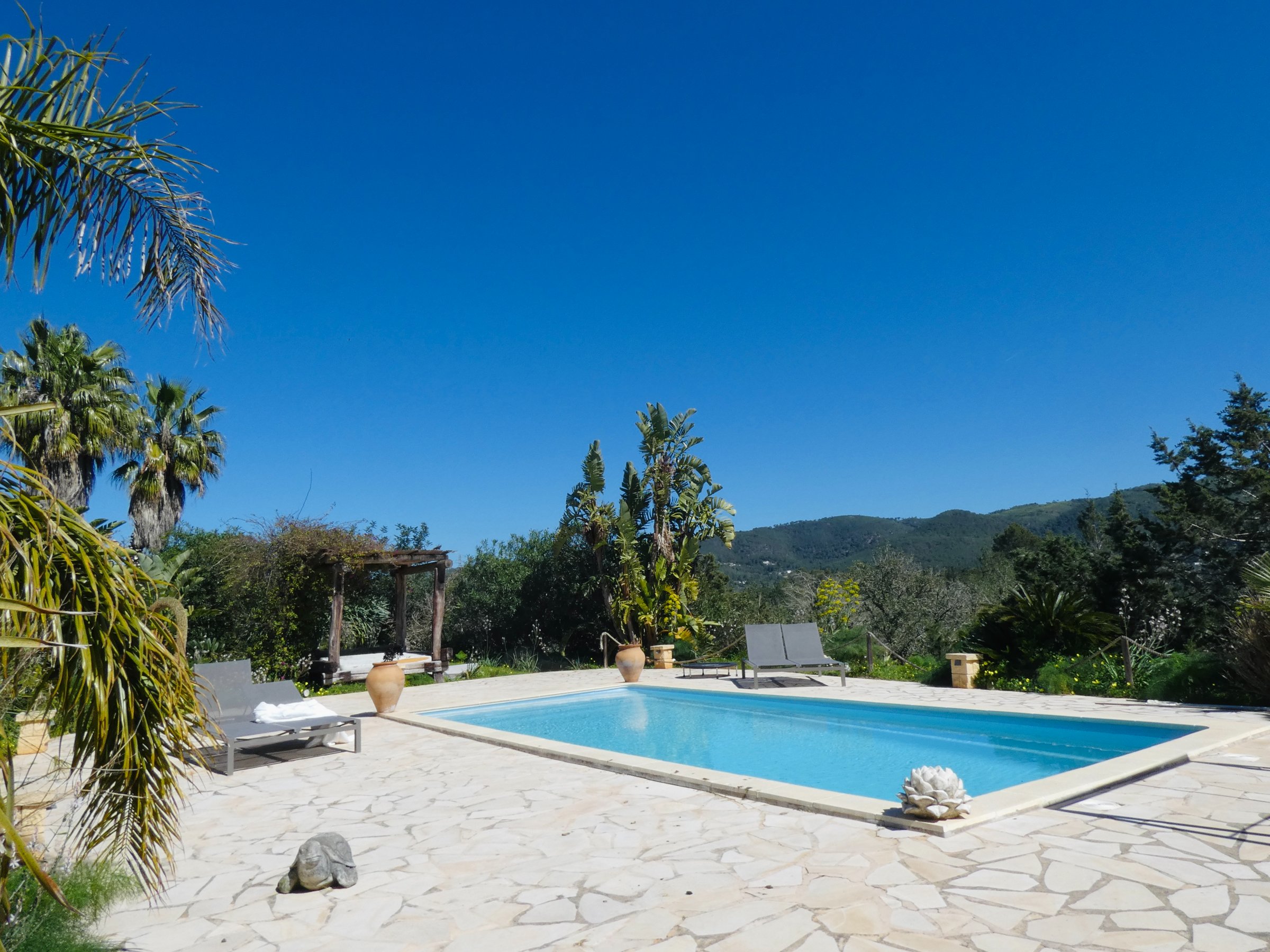 A Life Rooted in Ibiza's Wild North