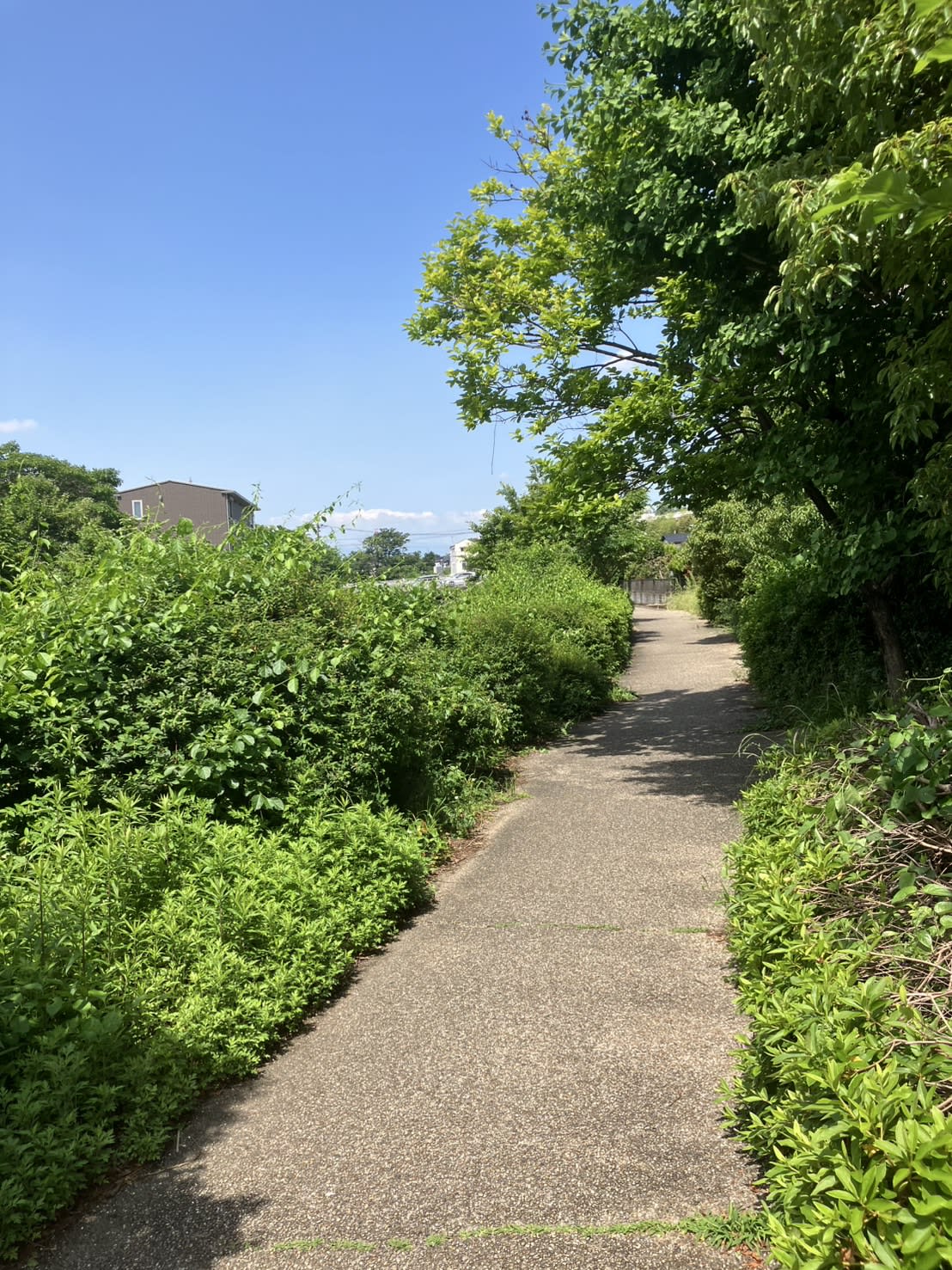 五軒橋の風景