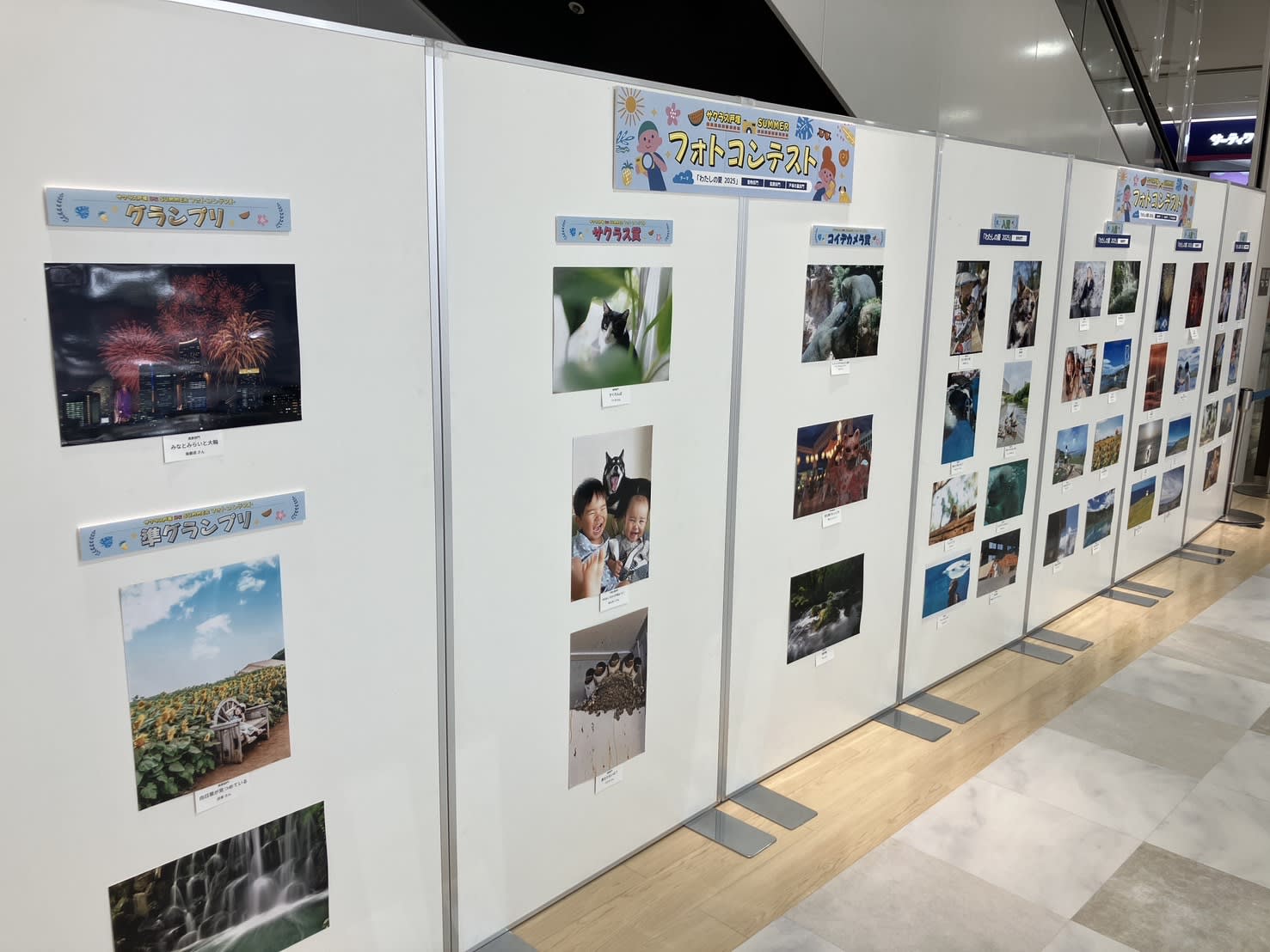 サクラス戸塚フォトコンテスト作品展示中！