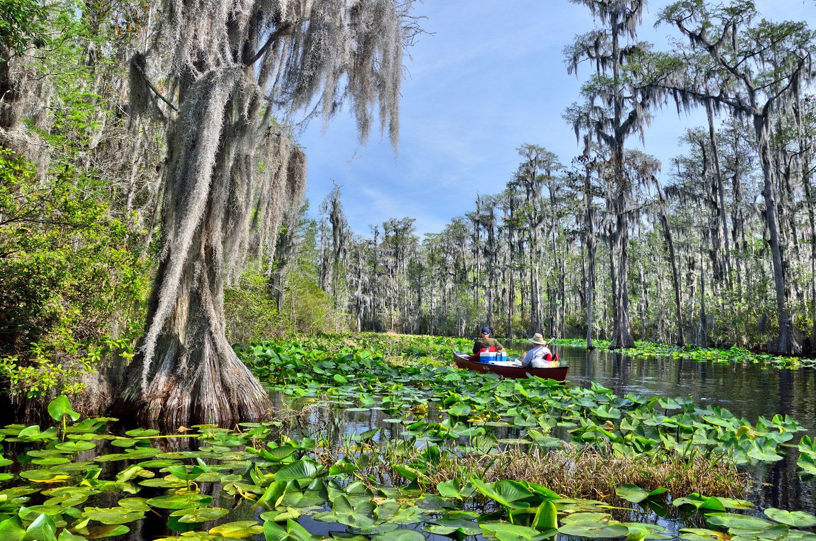 Okefenokee National Wildlife Refuge 1
