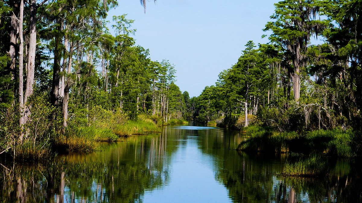 Okefenokee National Wildlife Refuge 2