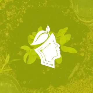 Tijuana Verde