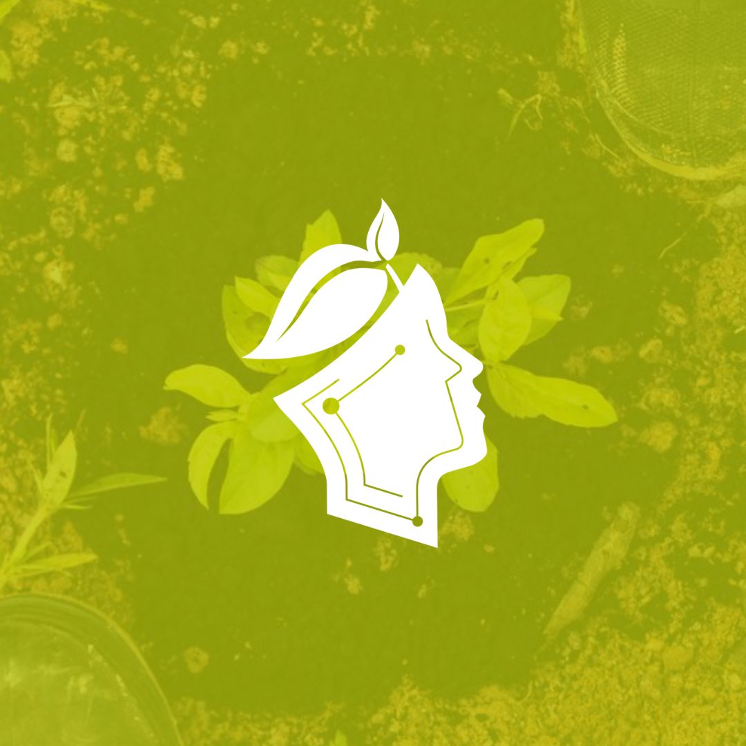 Arte en la Industria