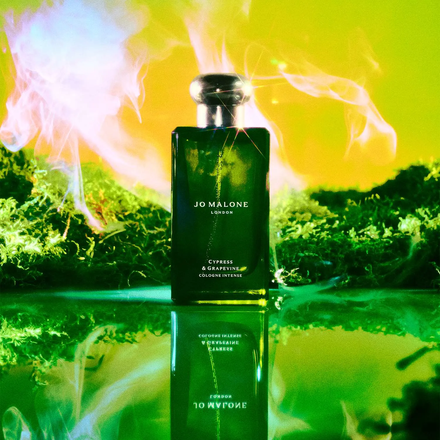 Cologne Intense Discovery Collection