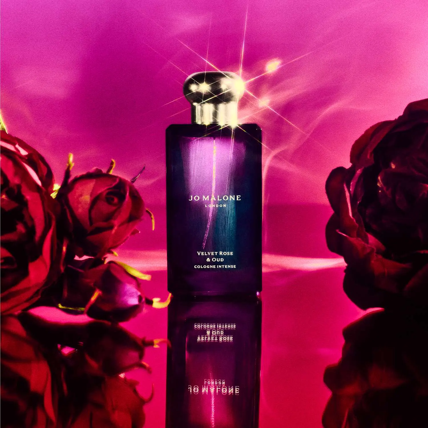 Cologne Intense Discovery Collection