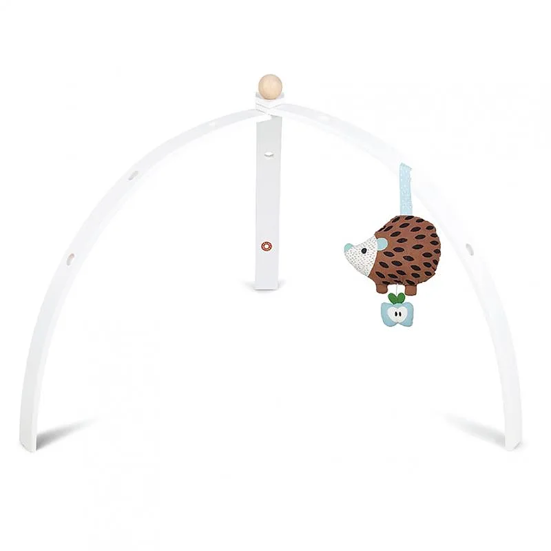 Babyspyder Activity Gym