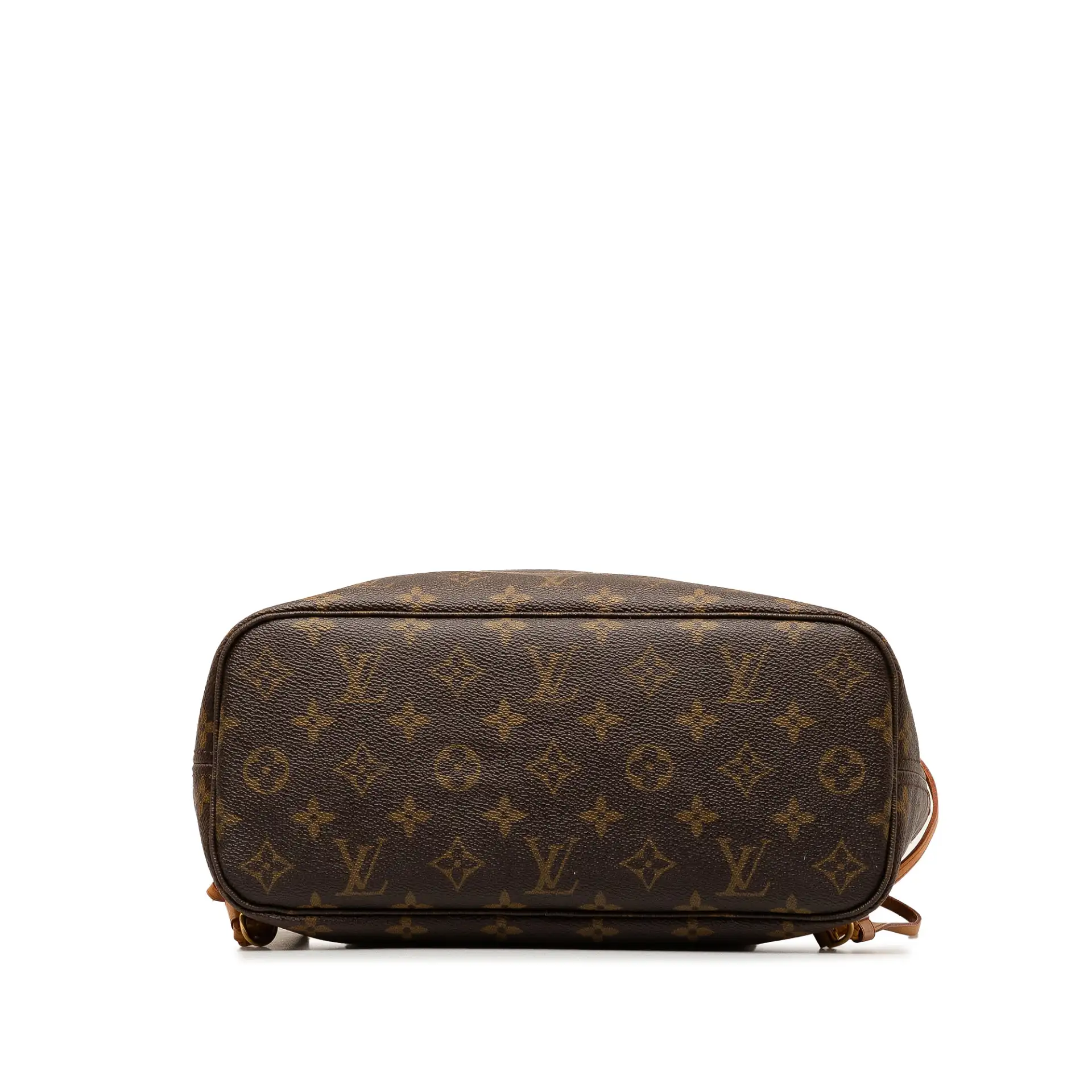 Louis Vuitton Monogram Neverfull Pm