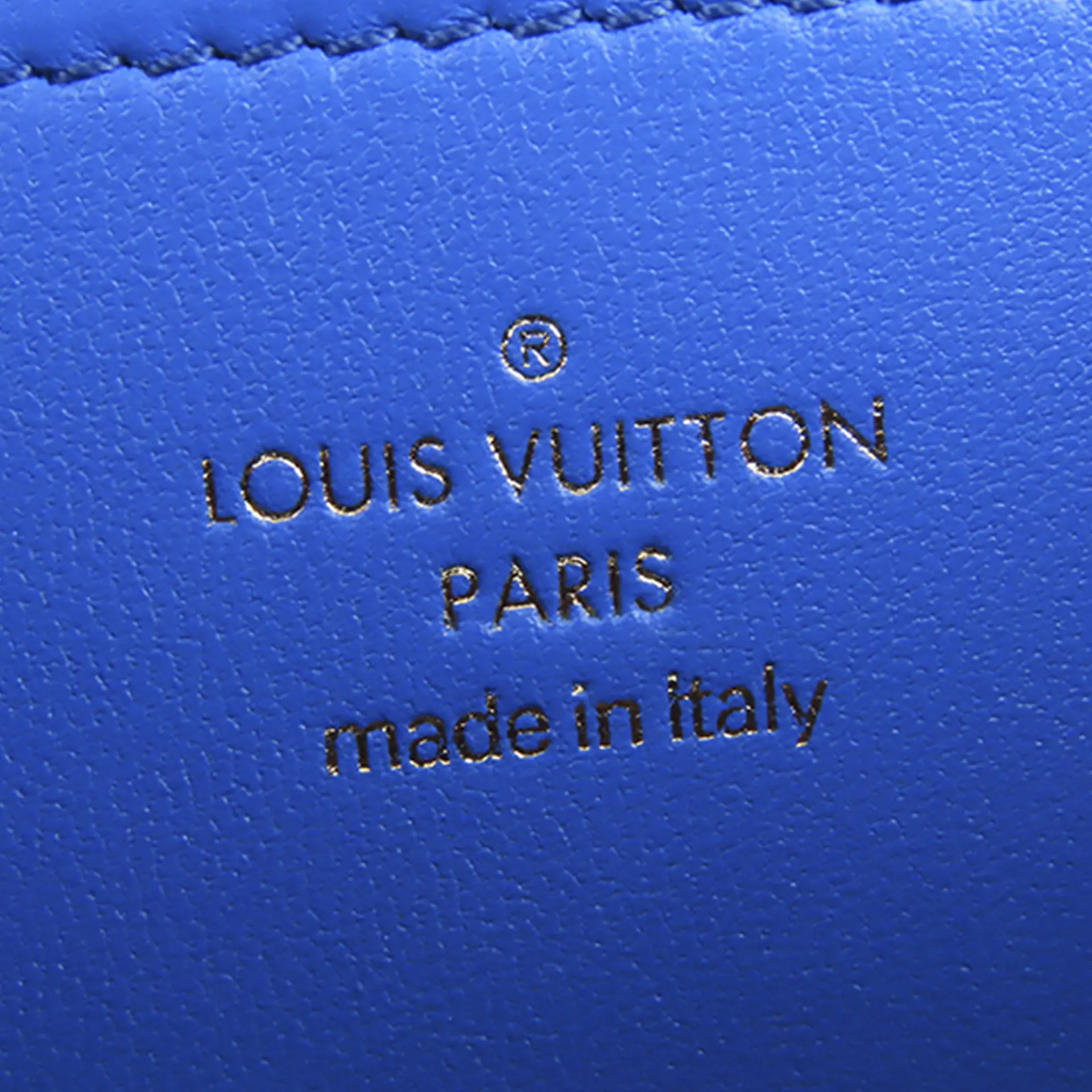 Louis Vuitton Monogram Coussin Pochette