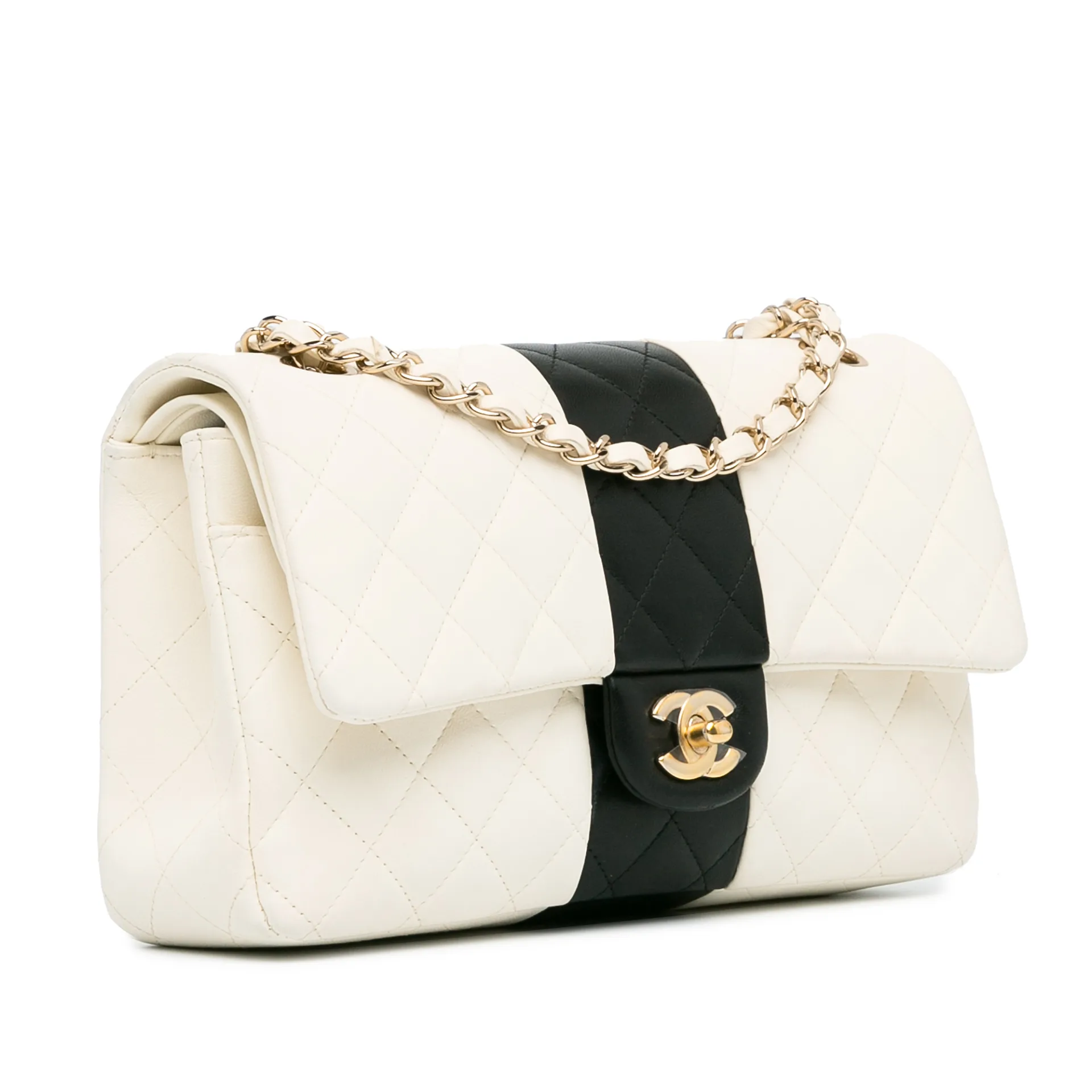 Chanel Medium Bi-stripe Classic Lambskin Double Flap