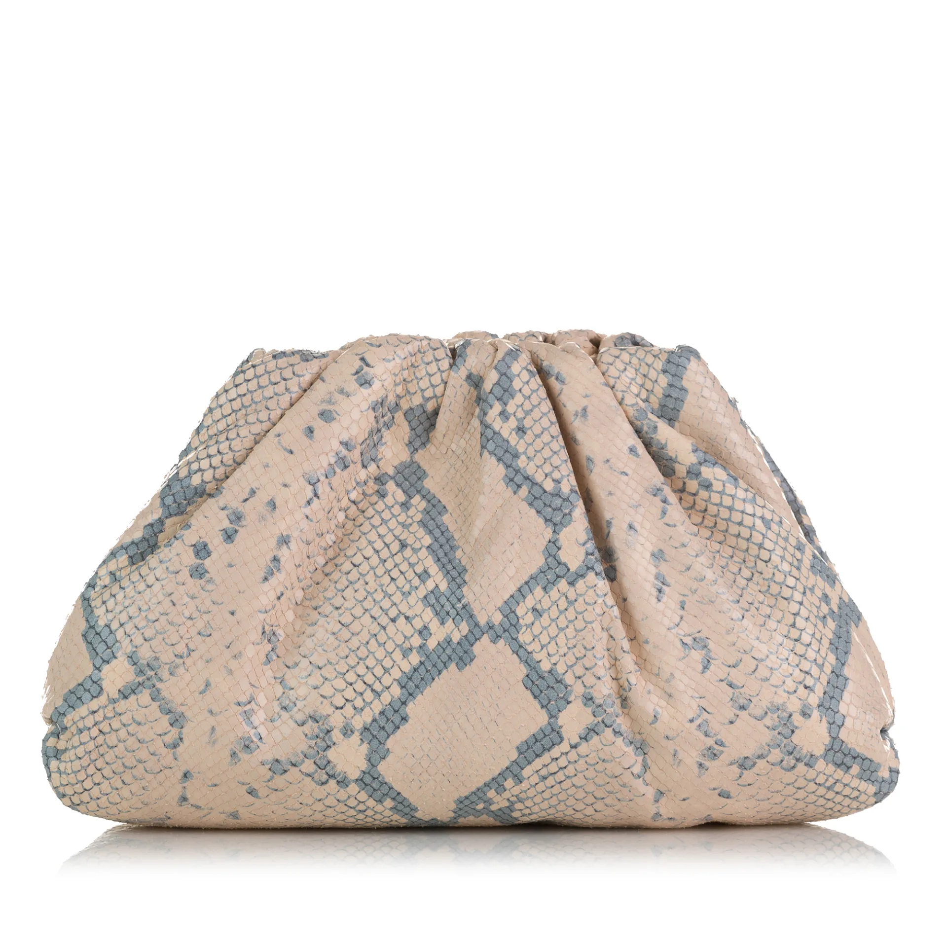 Bottega Veneta Python Print Goatskin Teen Pouch