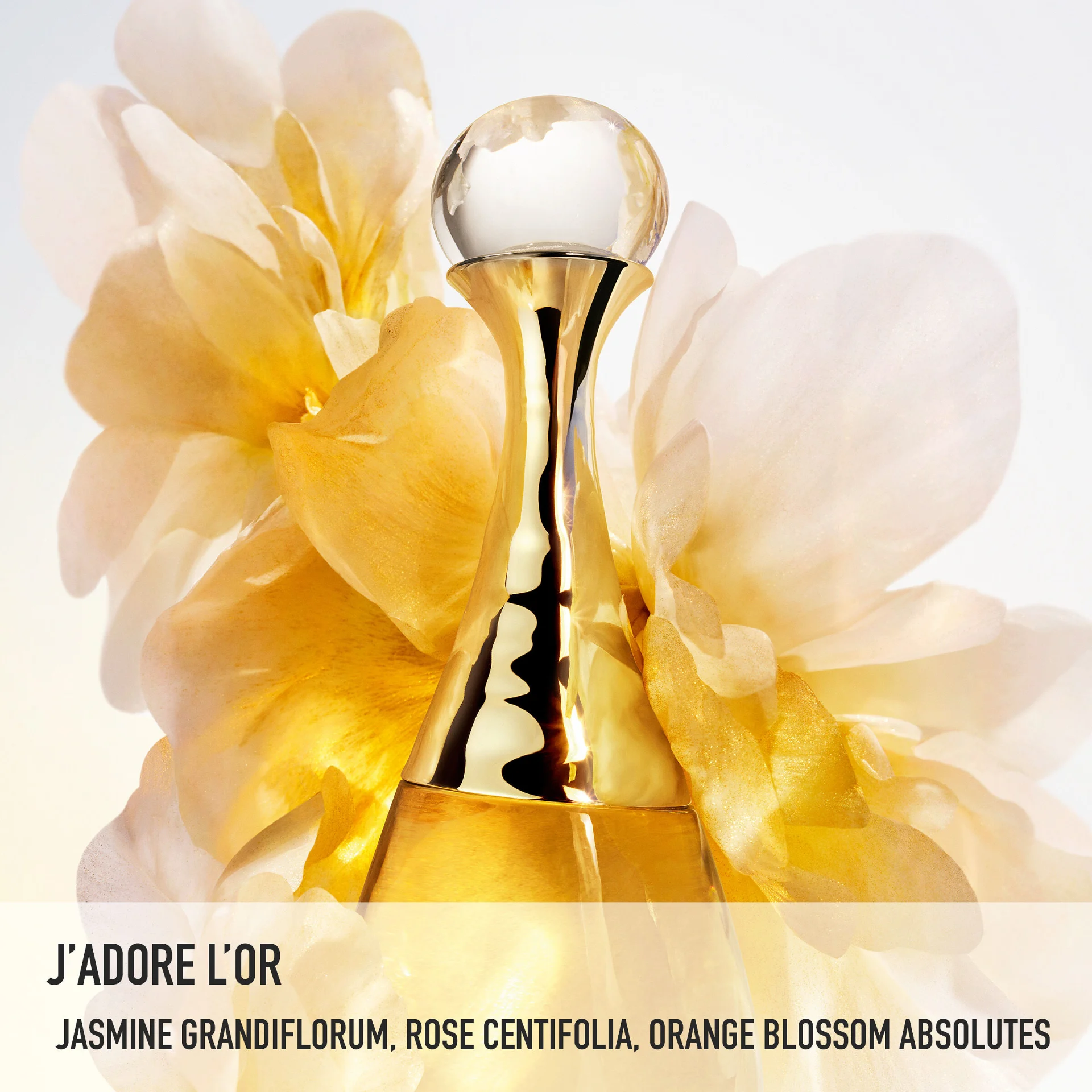 J’adore l’Or Fragrance with Floral Notes