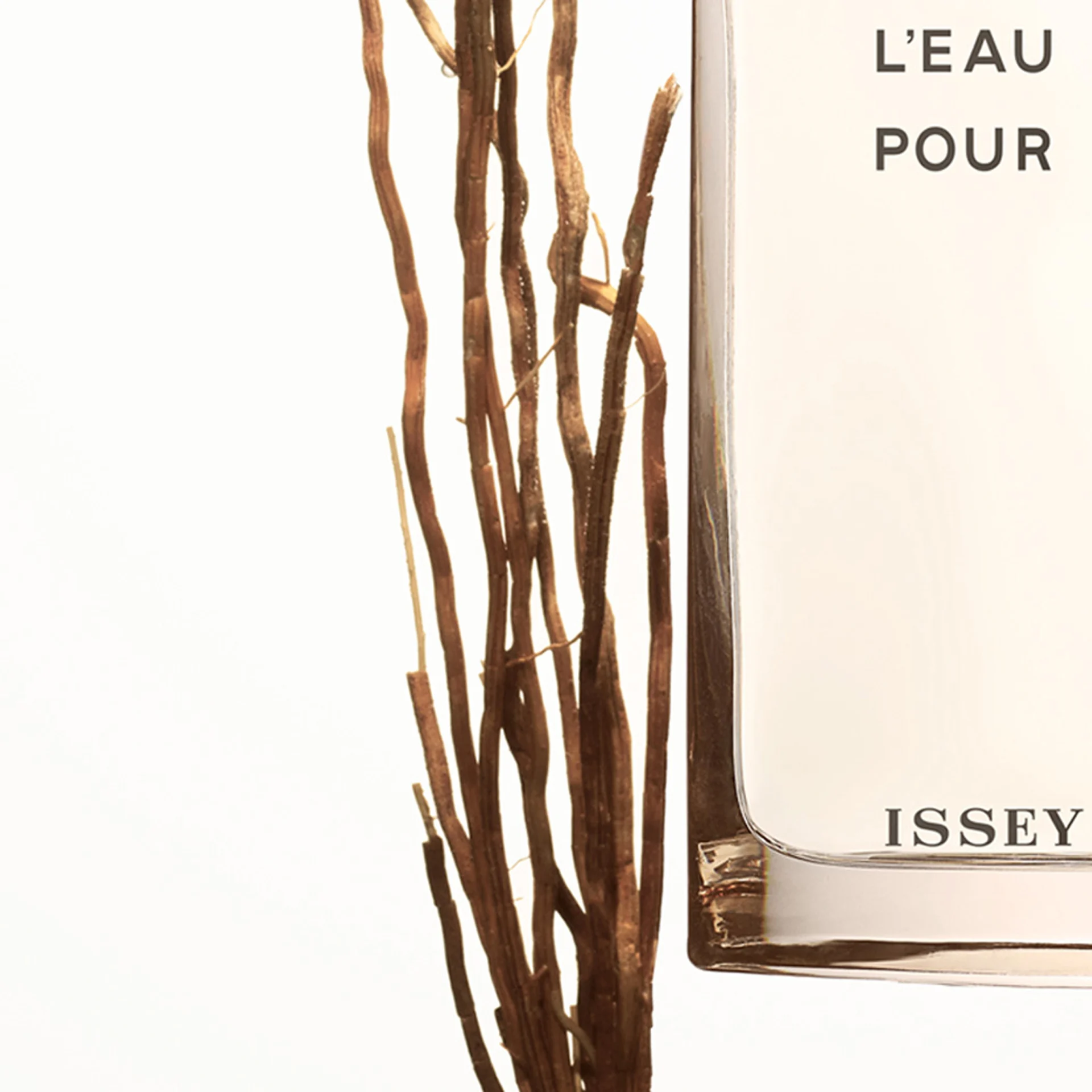 L'Eau D'Issey Pour Homme Vétiver