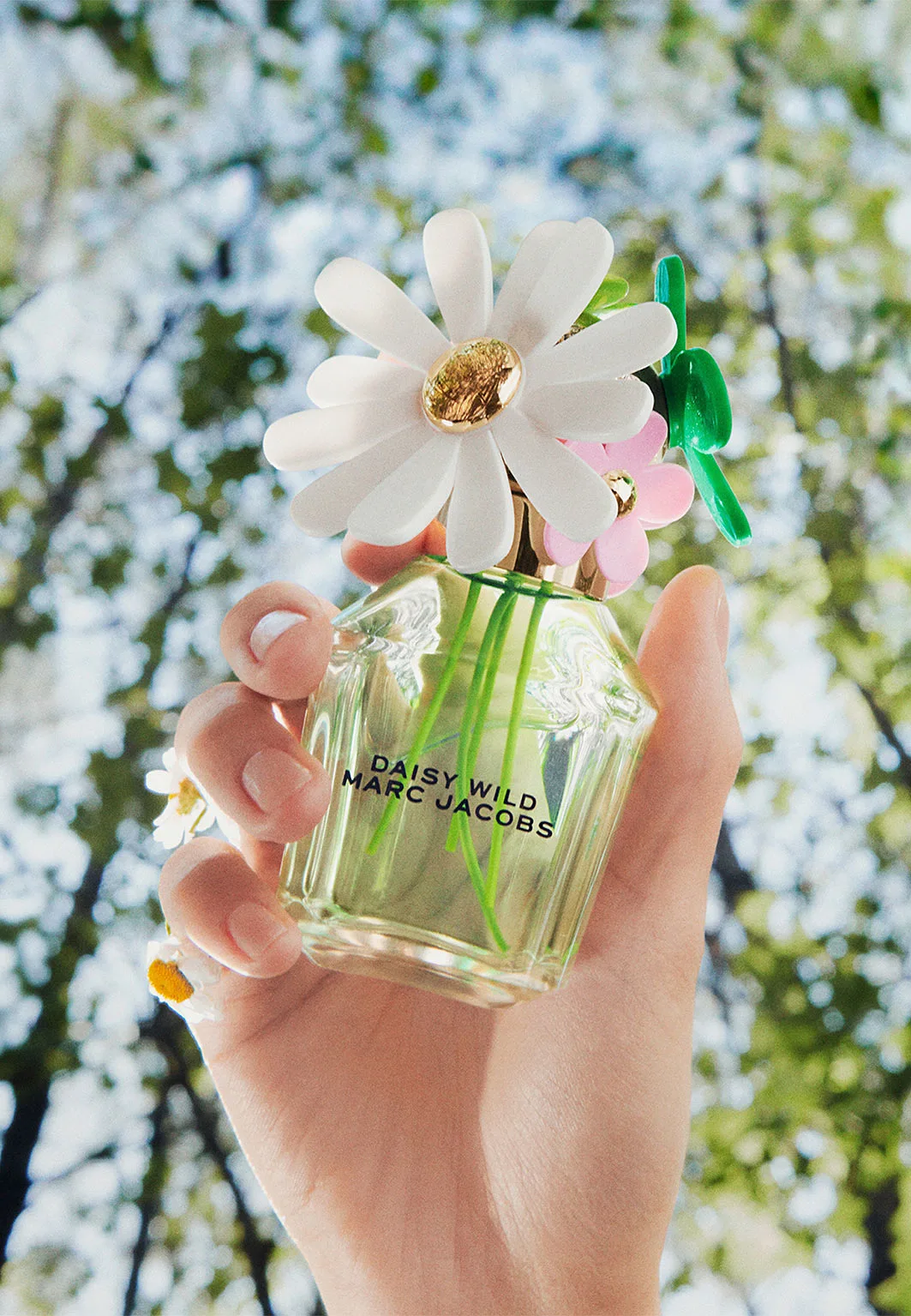 Daisy Wild  Eau de Parfum