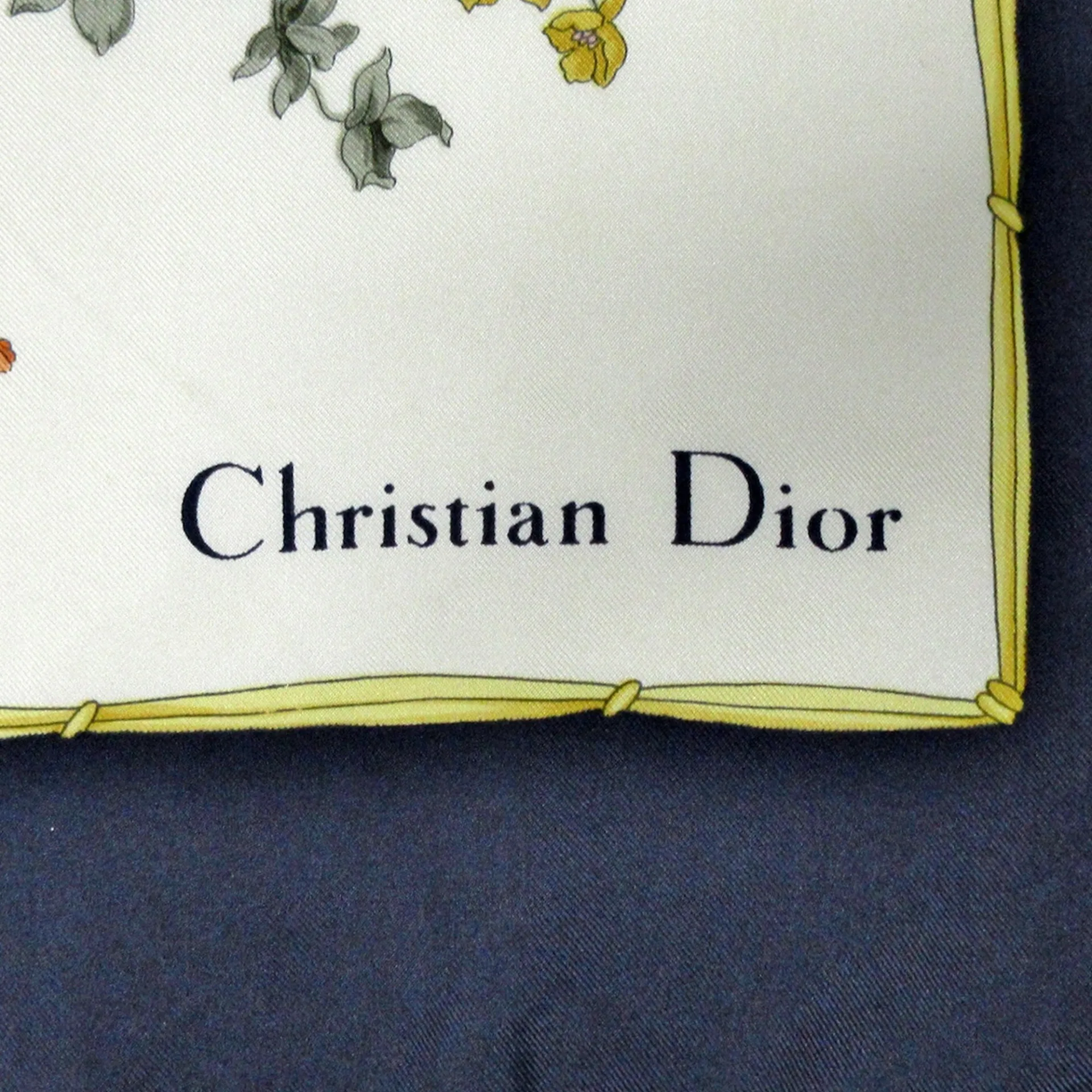 Dior Printed Silk Scarf