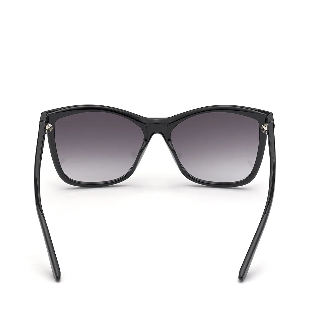 Sunglasses GU7779