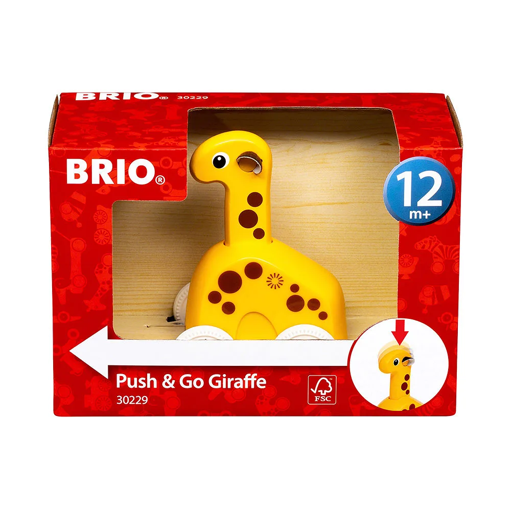 Push & Go giraff