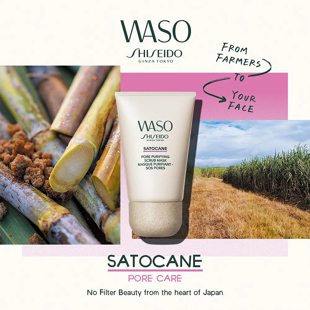 WASO Satocane Pore Purifying Scrub Mask