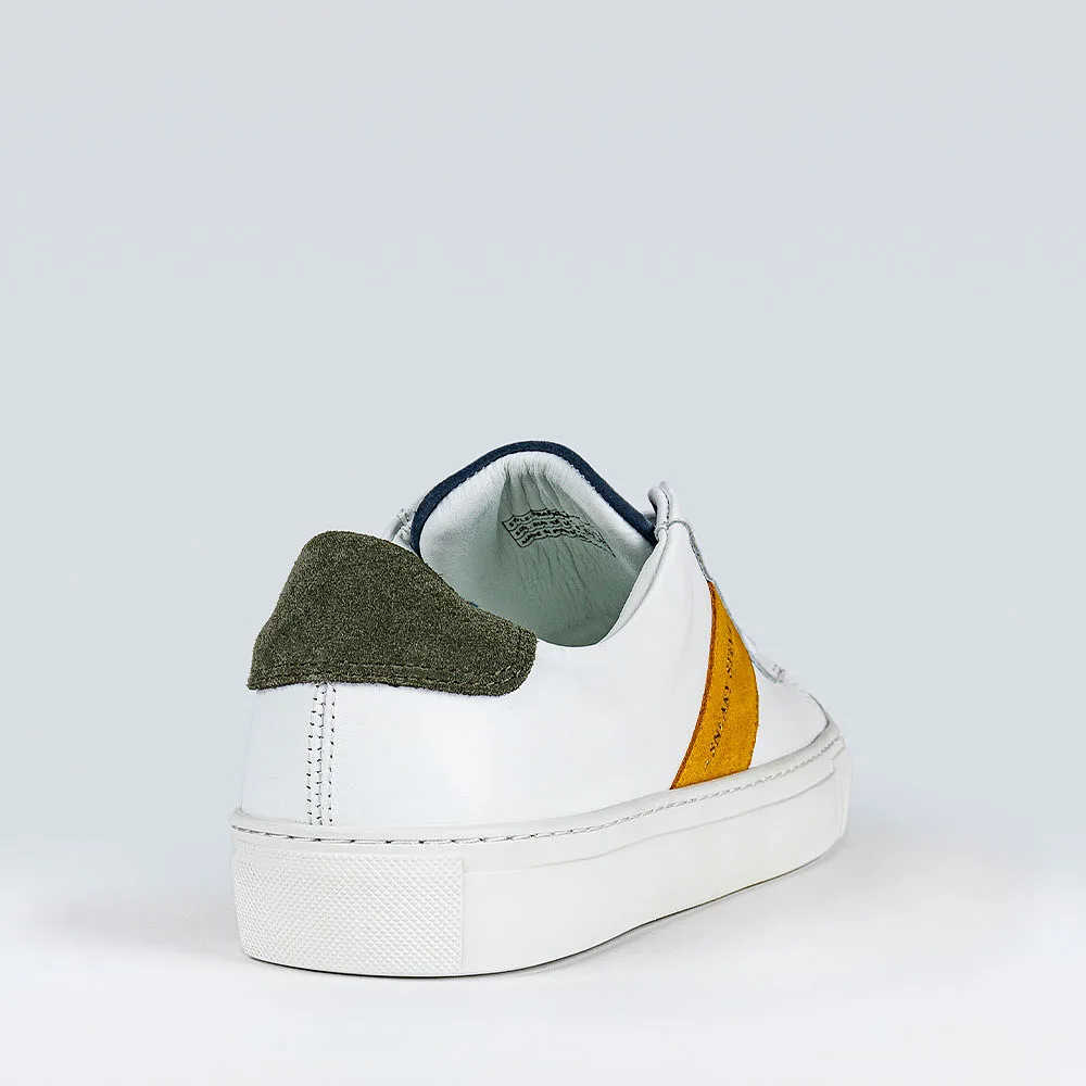 Franklin Sneakers