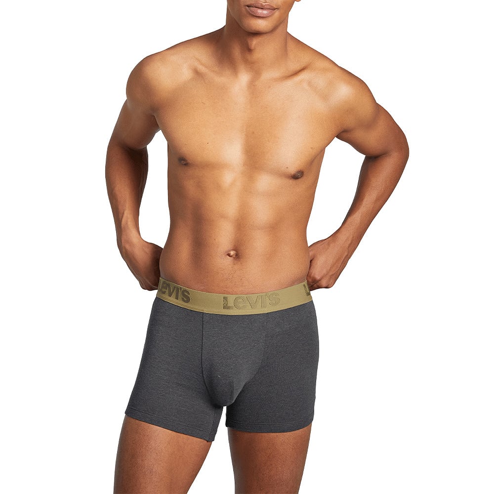 3- pack Premium Boxer brief