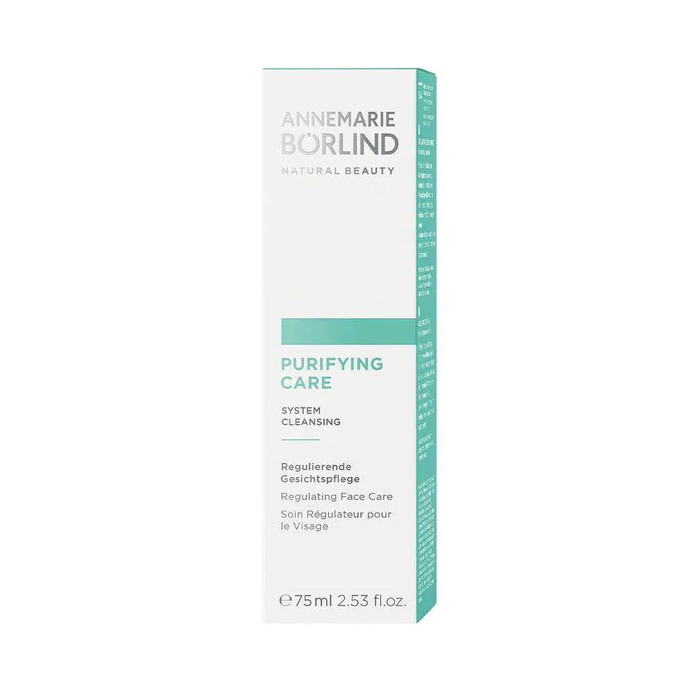 PURIFYING CARE Regulating Face Care