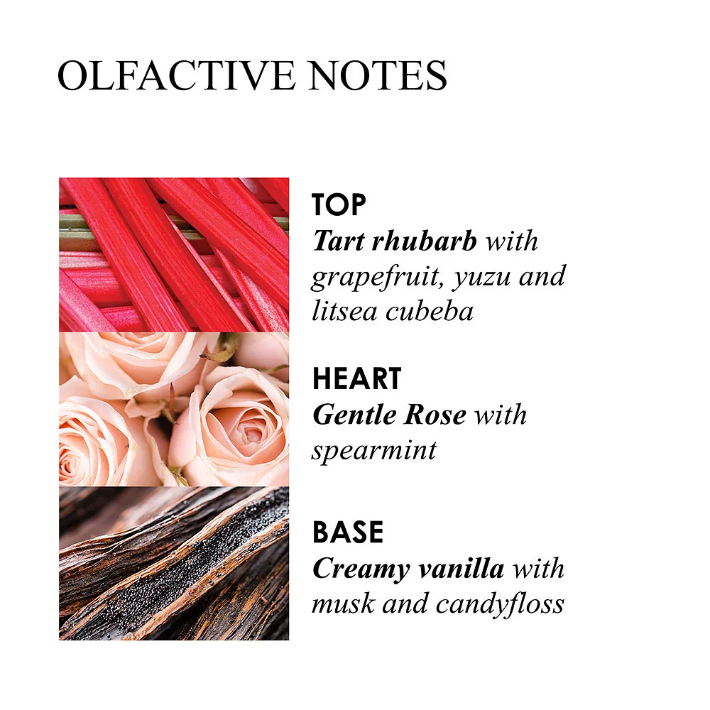 Rhubarb & Rose Signature Scented Candle Single Wick