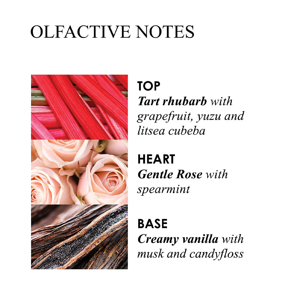 Delicious Rhubarb Rose Aroma Reeds Refill