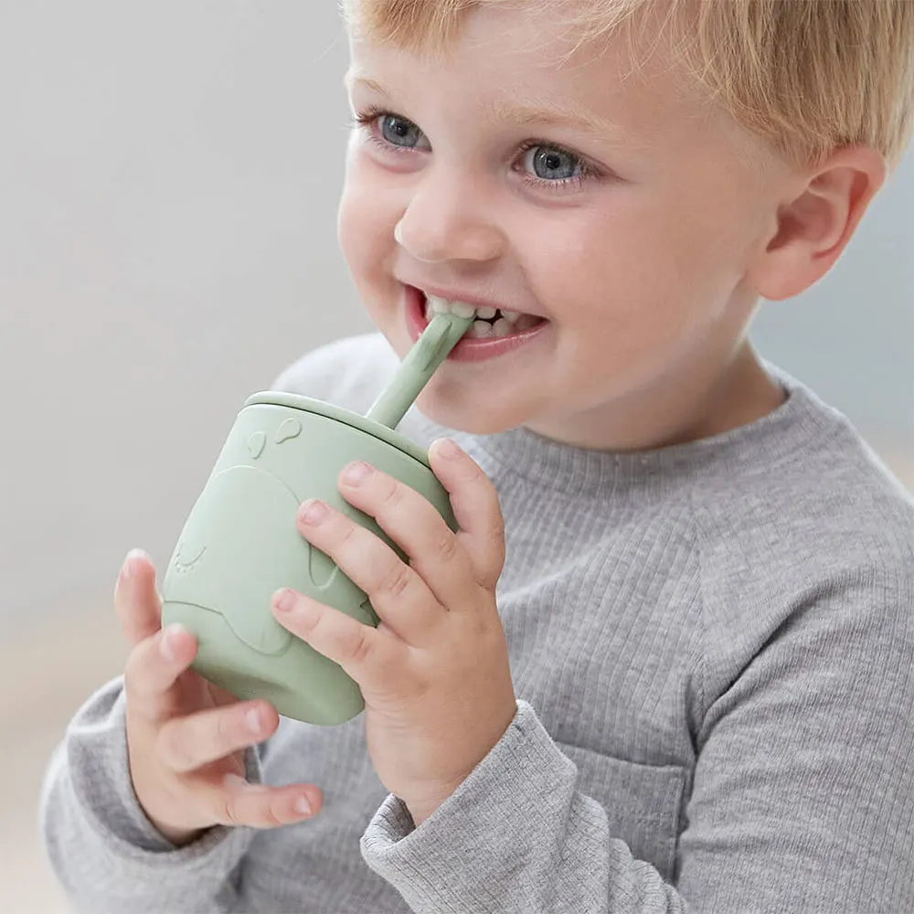 Peekaboo straw cup 2-pack Wally Green